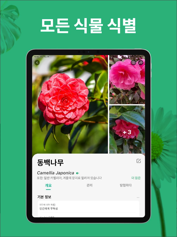 꽃 이름 찾기 어플, 사진 이미지로 꽃 찾고 검색하기