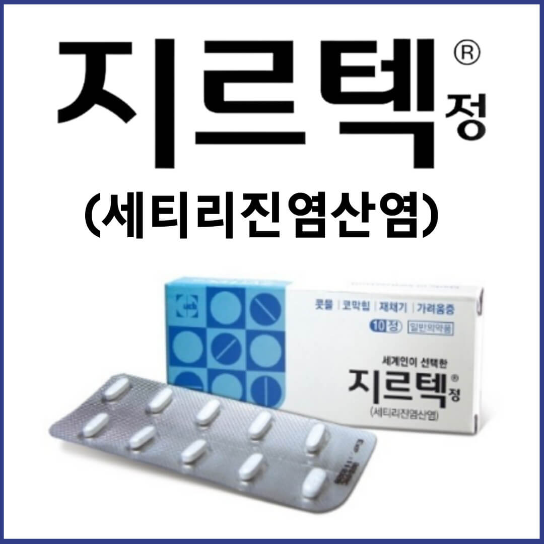 지르텍정