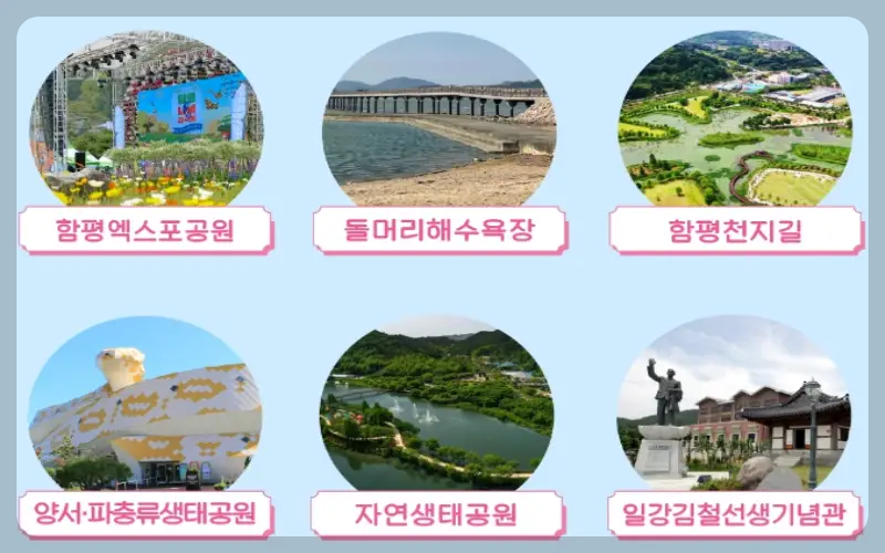 함평나비축제_9