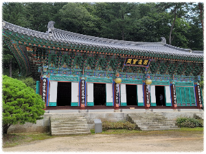 홍천공작산생태숲