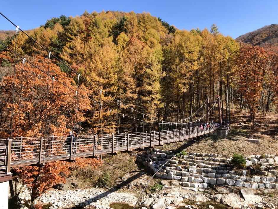 국립김천치유의숲