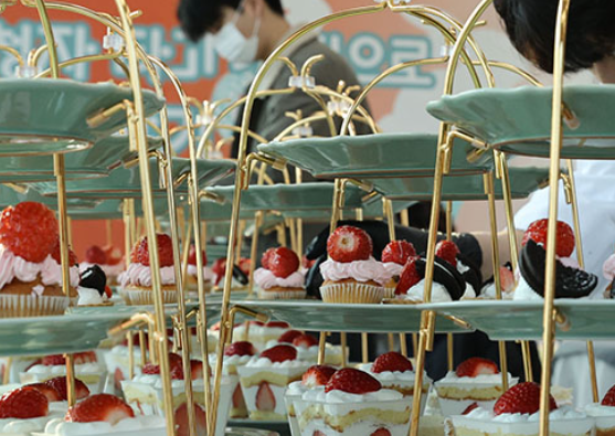 2024 강진청자축제 일정표 프로그램 행사장 안내도