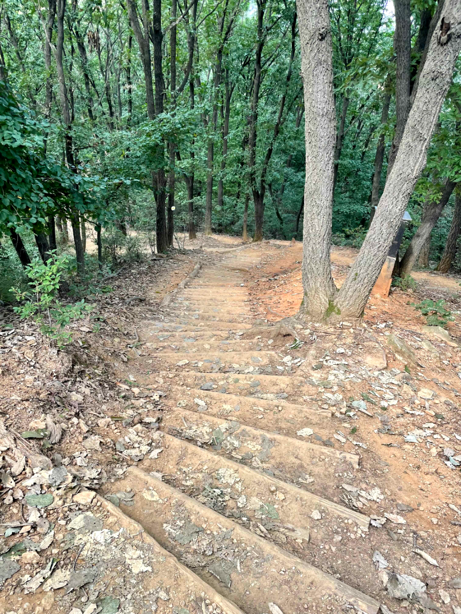 광명 구름산 가을산행 코스