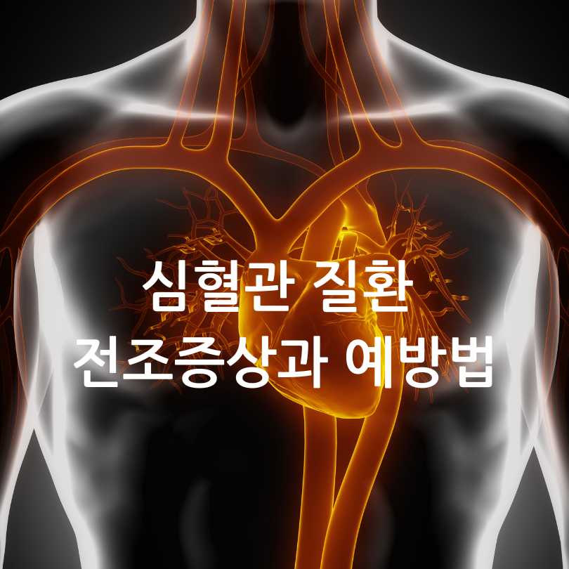 심혈관 질환 전조증상과 예방법