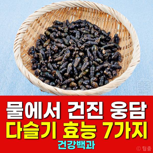 다슬기 효능 부작용