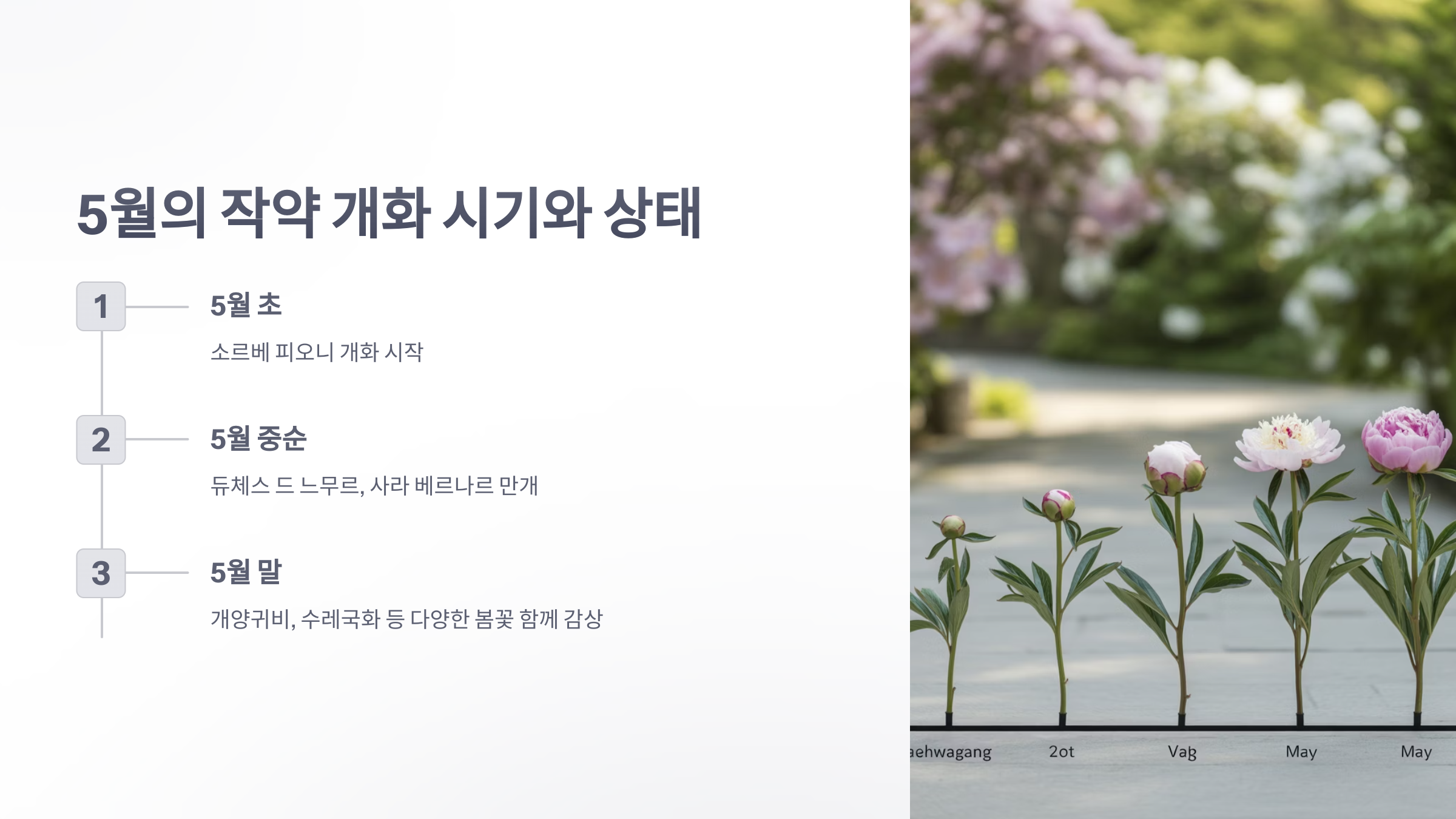 참조-울산-태화강-국가정원-작약원-4