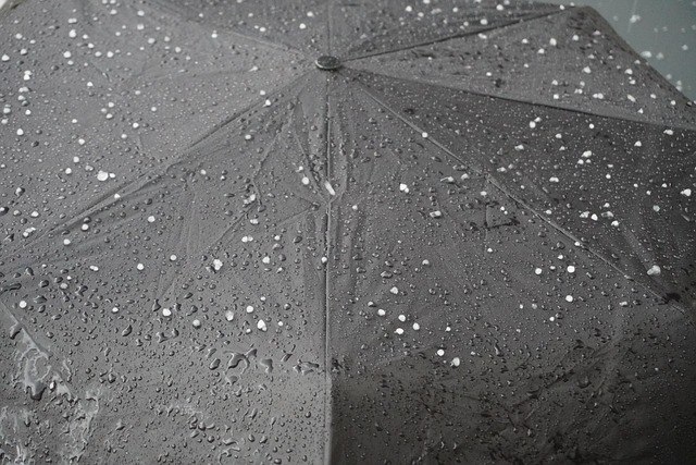 비꿈, 비꿈해몽