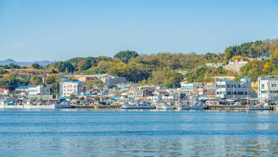 동해안 반려견 겨울 나들이 명소, 강아지와 함께 걷기 좋은 바다 산책 코스