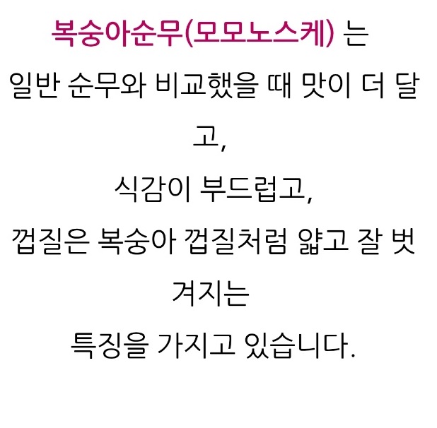 6시내고향-제주-복숭아순무