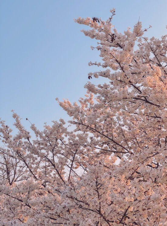 서울숲