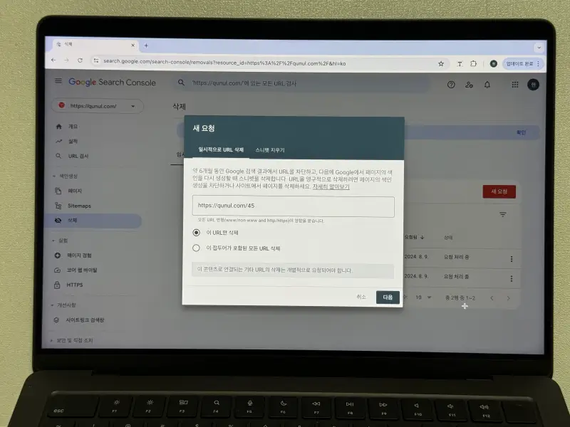 구글 서치콘솔 일시적으로 URL 삭제 알럿 사진
