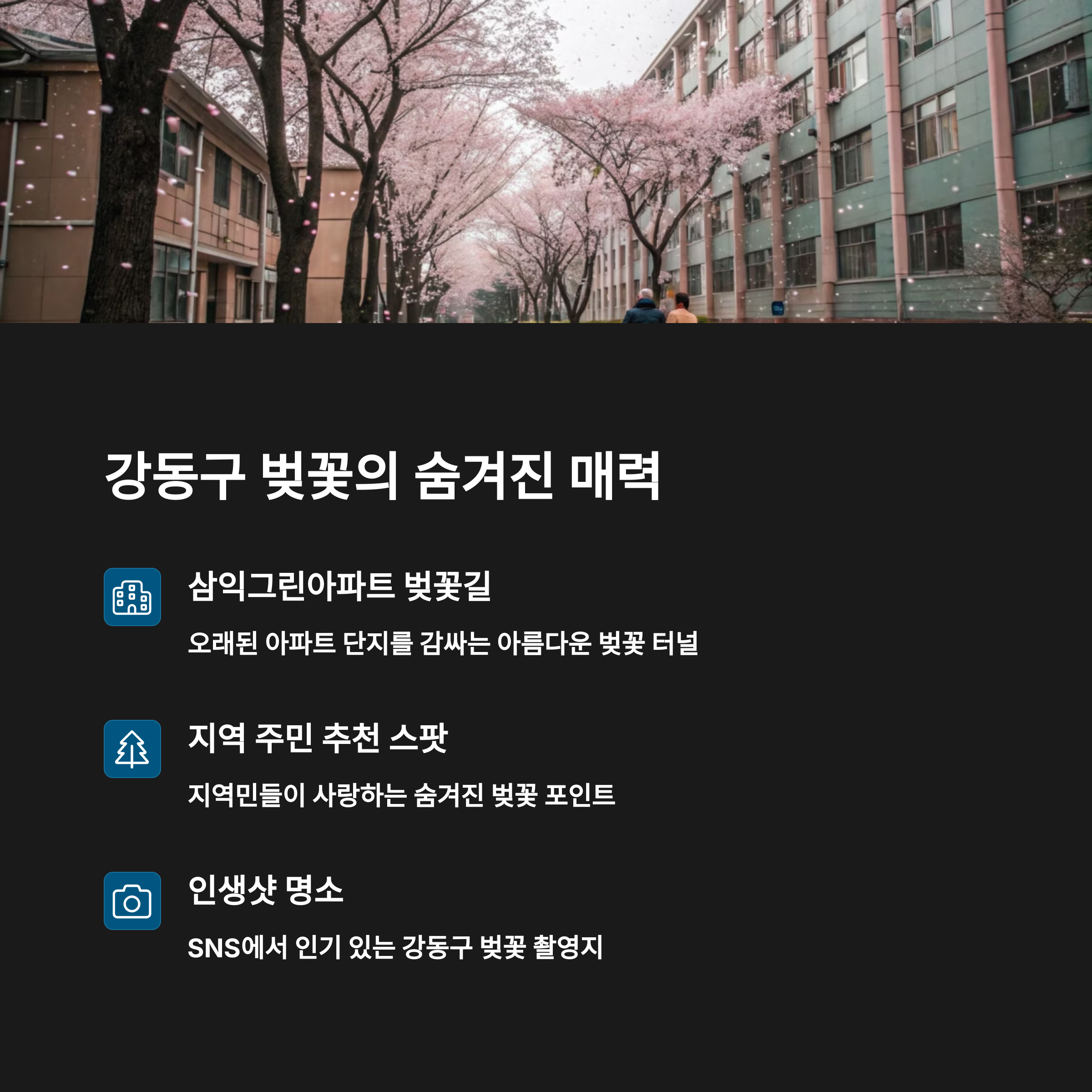 삼익그린아파트 벚꽃길