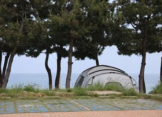죽도해수욕장