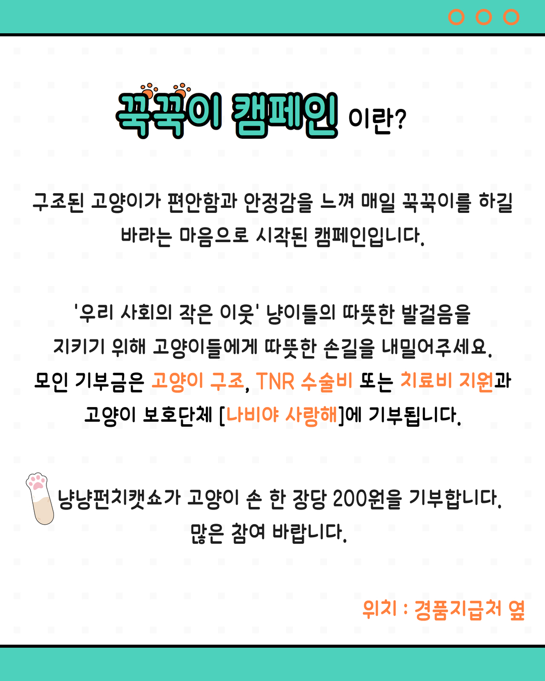 고양이들의 꾹꾹이 캠페인