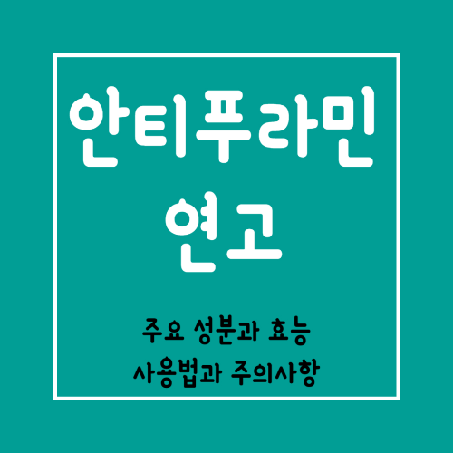 안티푸라민 로션과 연고의 차이점