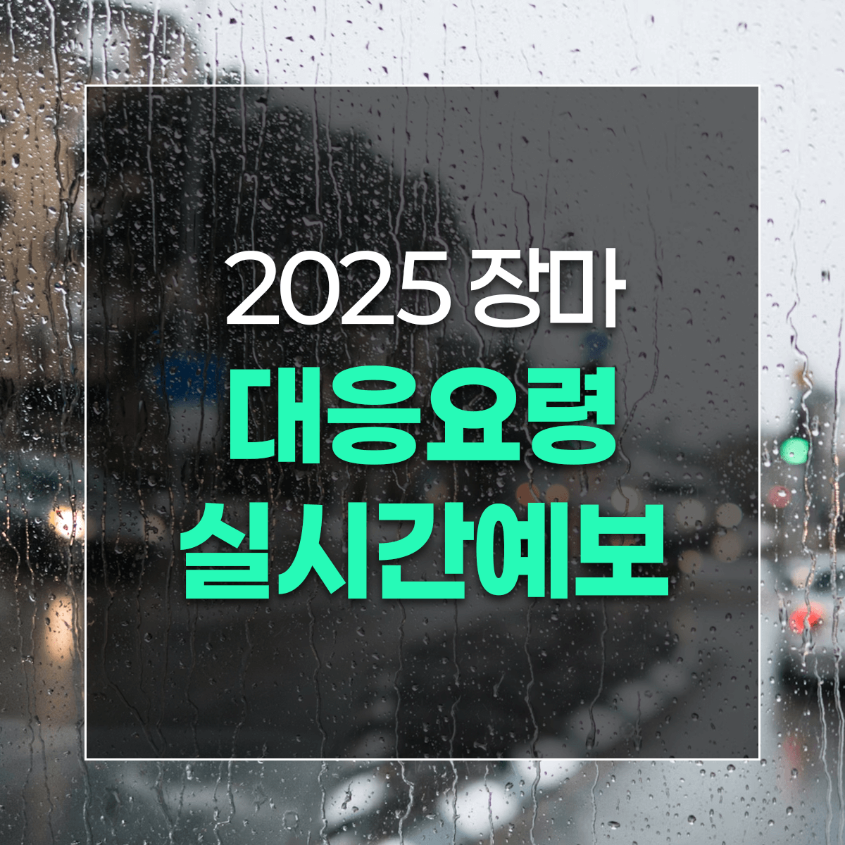 2025 장마 대응요령 실시간예보