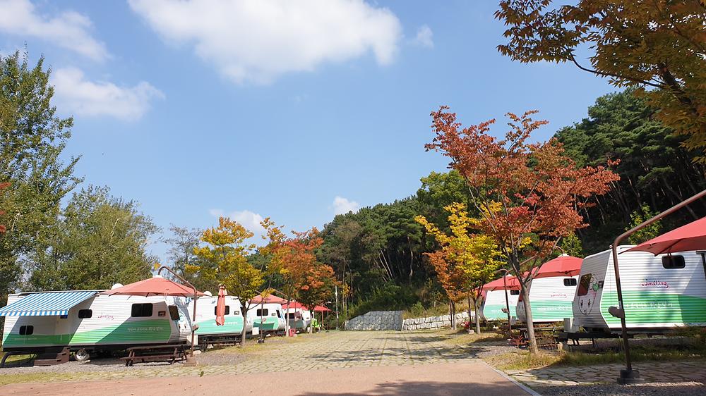 대구 달서별빛캠프 캠핑장 소개