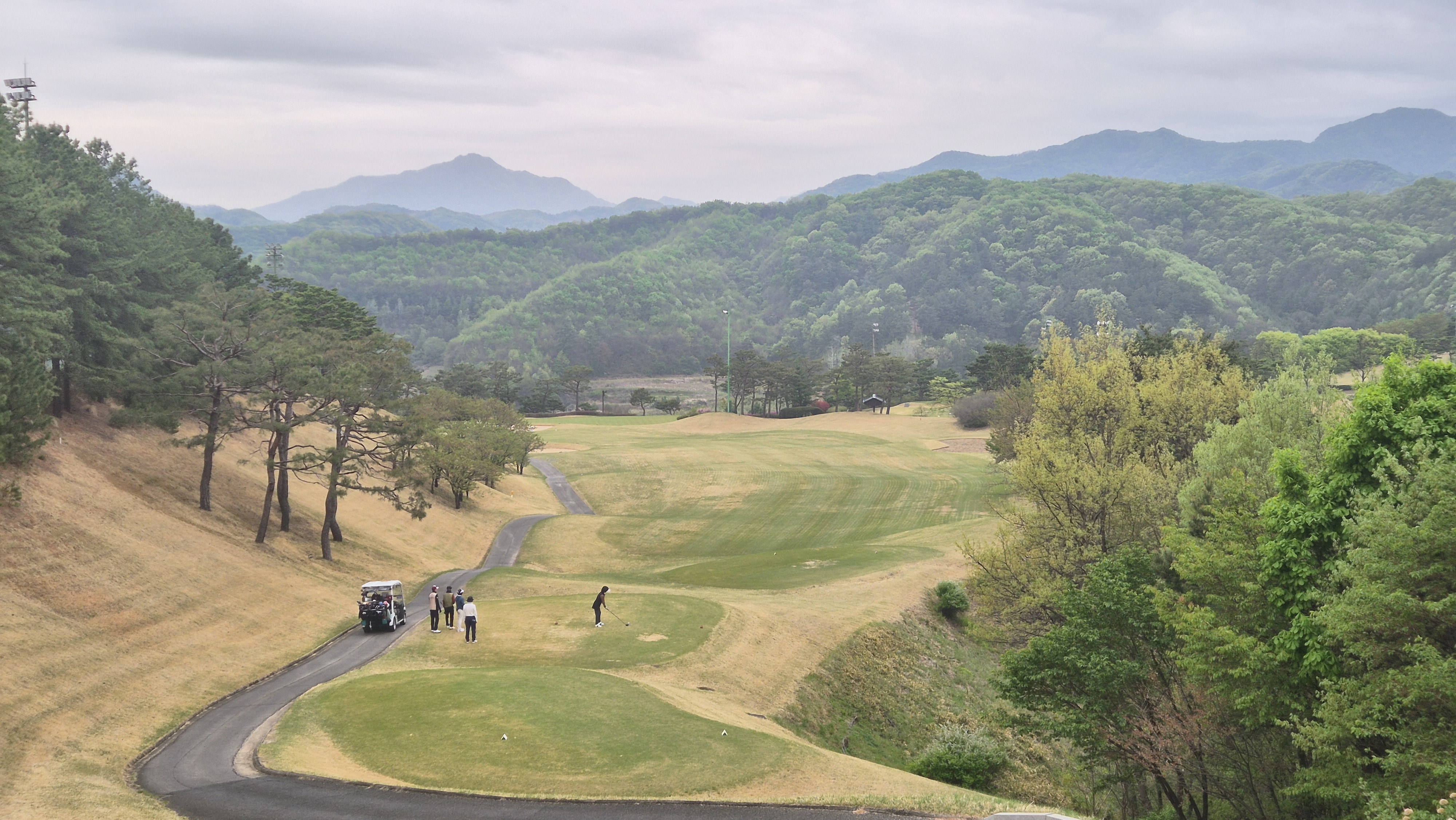 시그너스cc 코튼-라미 코스 사진 및 공략 정보