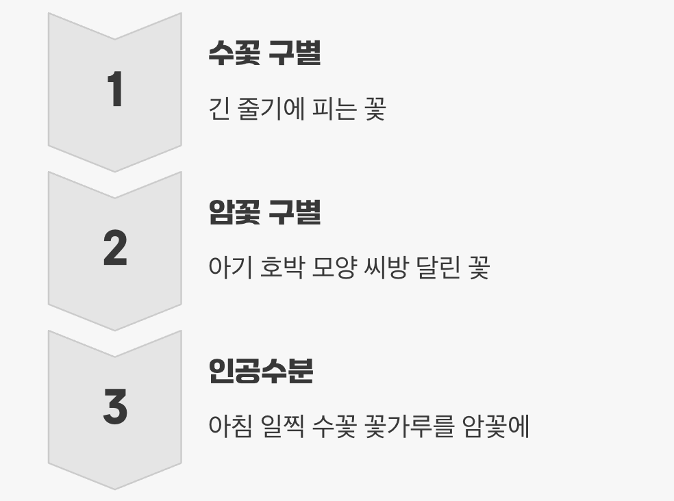 꽃은 피는데 열매가 안 열려요?