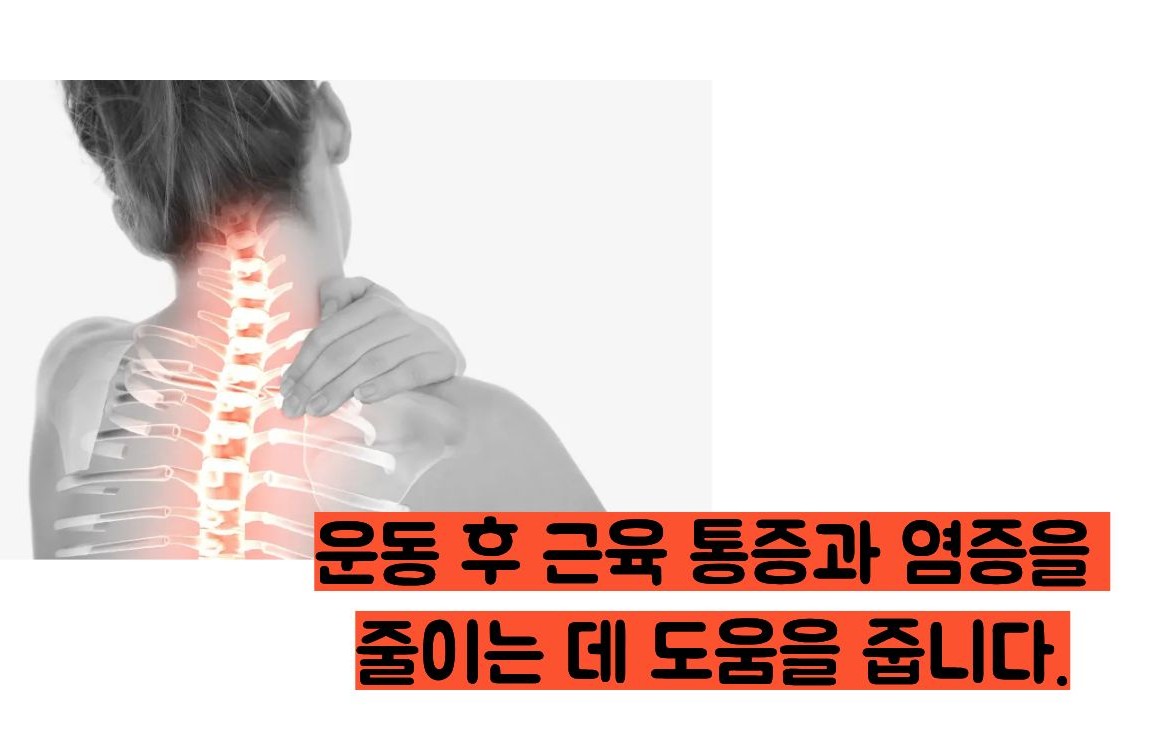 타트체리 효능