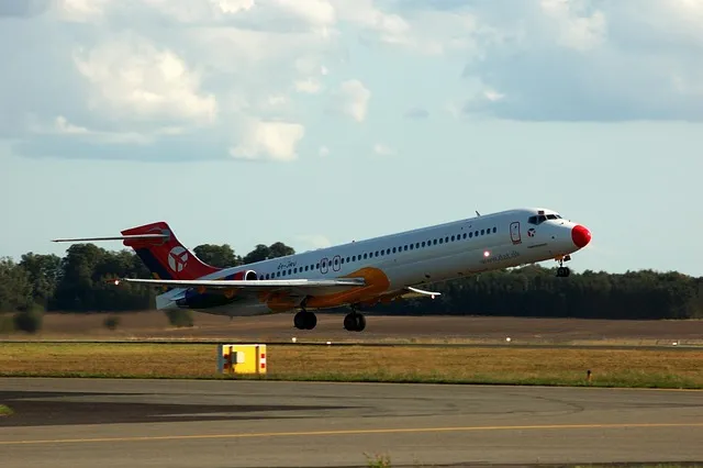 시편 91장 11절 읽기 - 그가 너를 위하여 그의 천사들을 명령하사_9