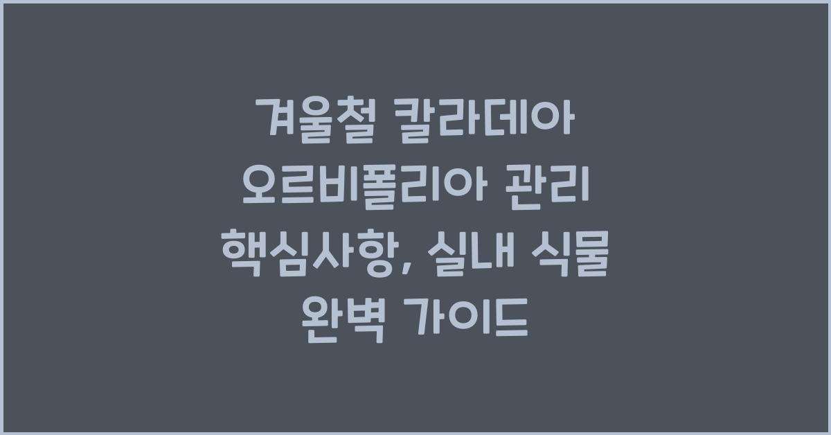 겨울철 칼라데아 오르비폴리아 관리 핵심사항