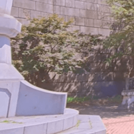 남산 케이블카 가는방법