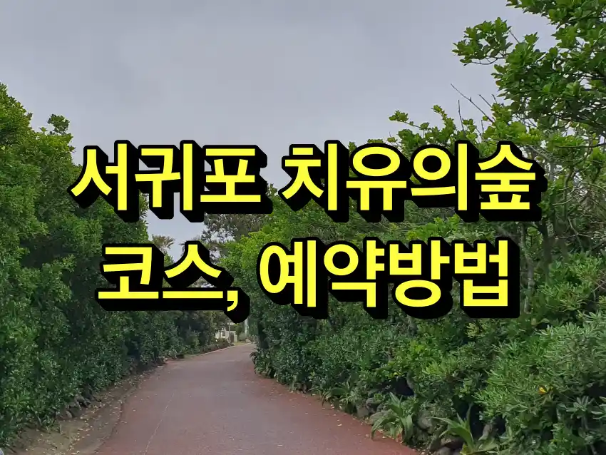 서귀포 치유의숲 트레킹 코스, 예약방법 및 비용 총정리