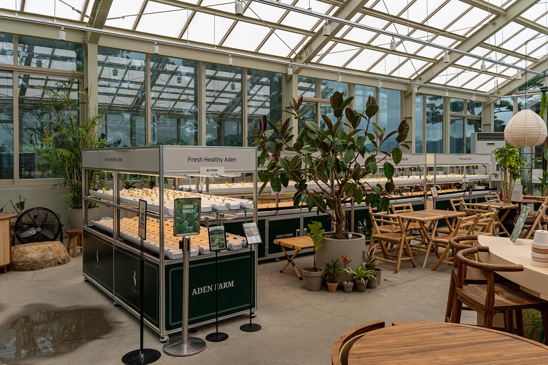 원동 카페 아덴 스마트팜