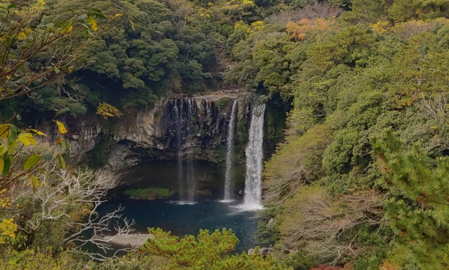 계곡 다리 위 상류 뷰