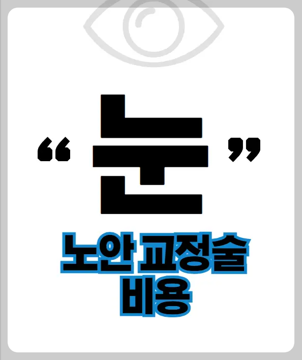 노안교정술 비용