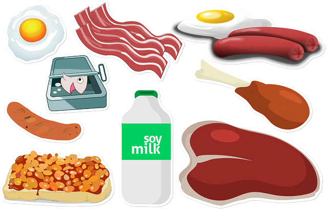 단백질 대표사진