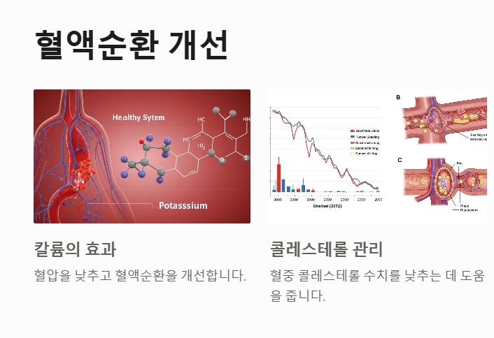 여주 효능, 혈액순환 개선