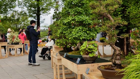 고양국제꽃박람회 일정