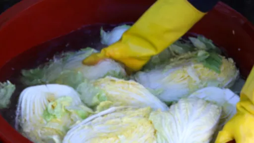 절임배추 사전예약