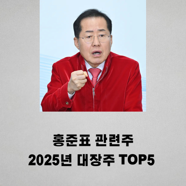 홍준표 관련주 대장주 TOP5