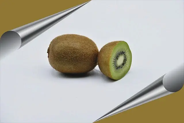 키위 보관법