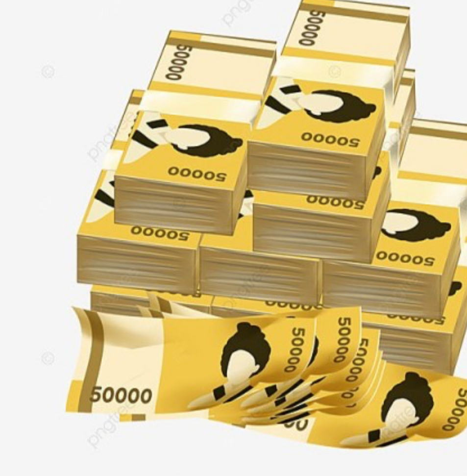 2024-민생회복지원금