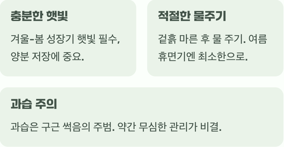 최고의 선물&amp;#44; 햇살과 약간의 무심함