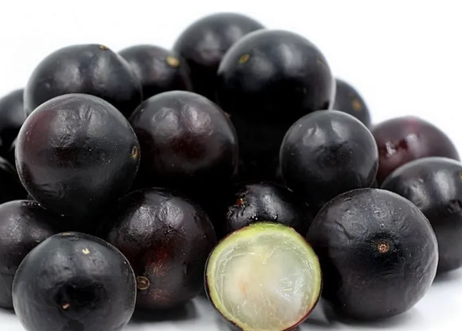 최화정거북이주스거북이쥬스자보티카바