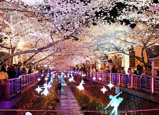 진해 군항제 축제 정보