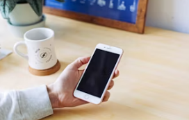 2024년 모바일운전면허증 발급