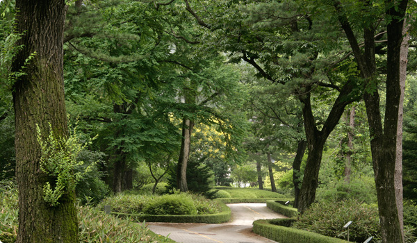 국립수목원 예약