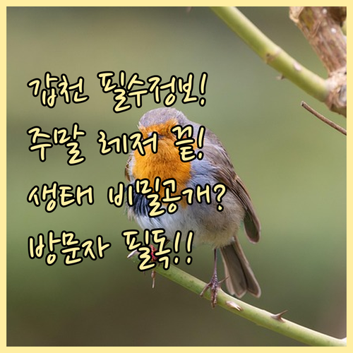 도심 속 복합 공간 갑천호수공원 레저..
