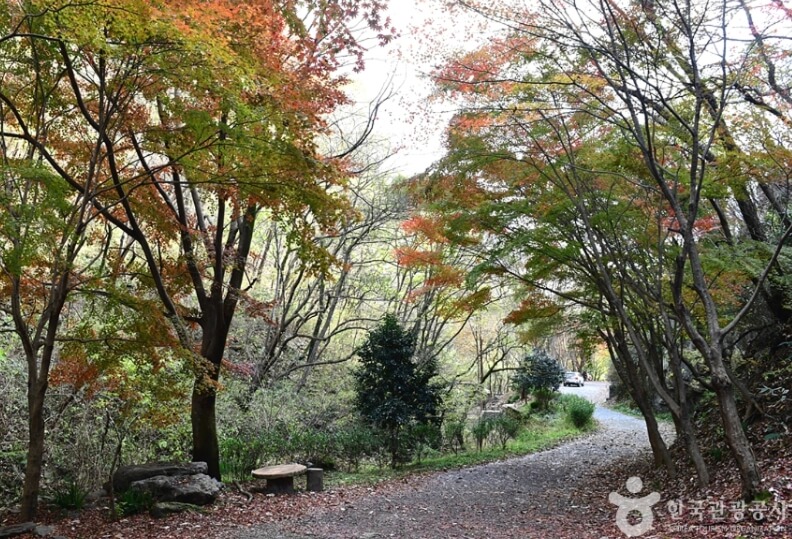 장흥 가볼만한곳 베스트 10