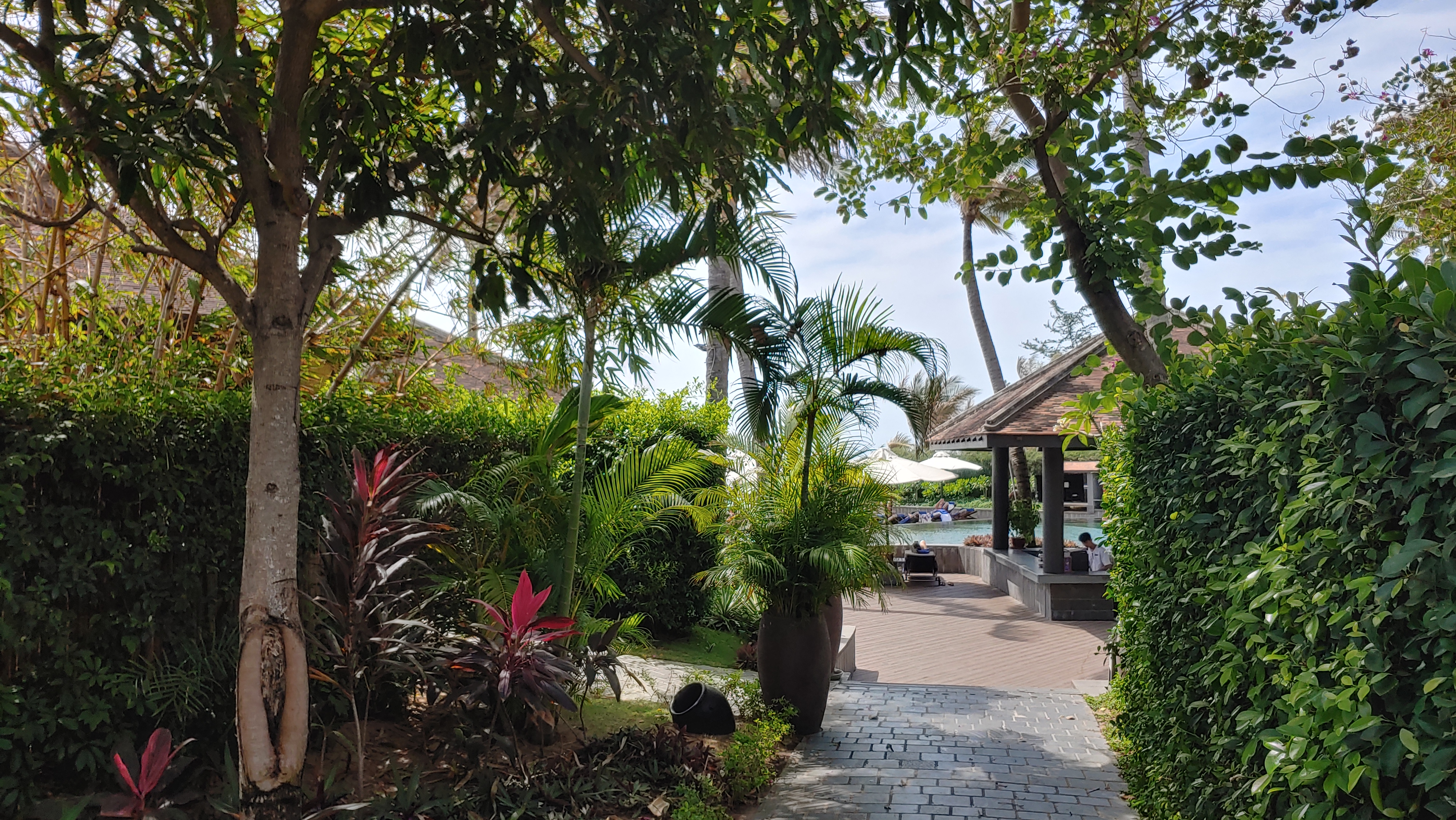 수영장 옆 아름다운 풍경