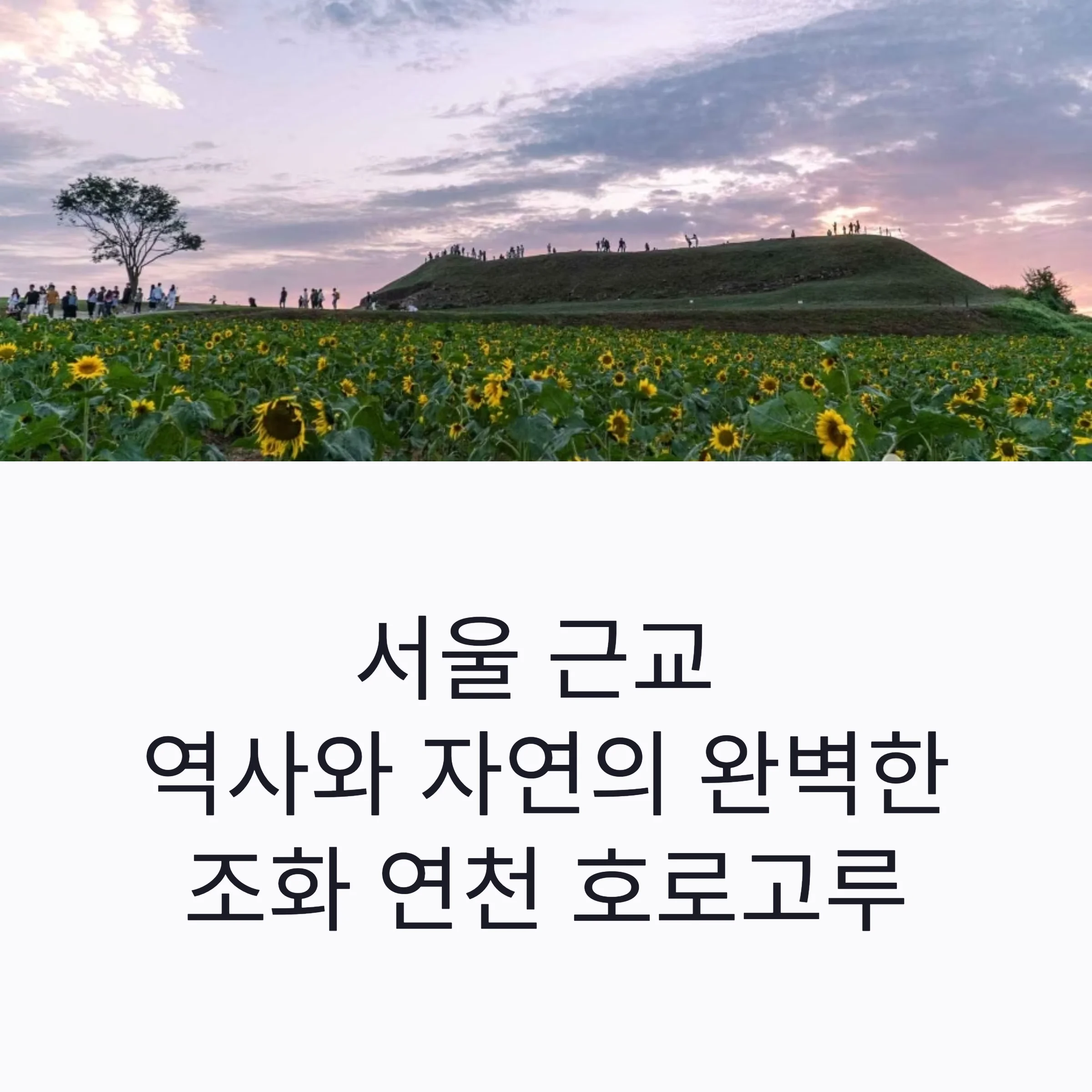 연천 호로고루 : 고구려의 숨결과 해바라기 노을