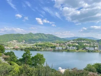 양평 가볼만한곳 베스트10 두물머리 연잎핫도그_4