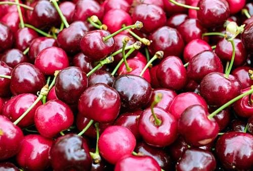 타트체리 주스부터 영양제까지 수면 효과 극대화하는 법