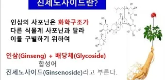 홍삼정 선물 진세노사이드 함량 제형 스틱 복용 편의 위주 선택 가이드_5